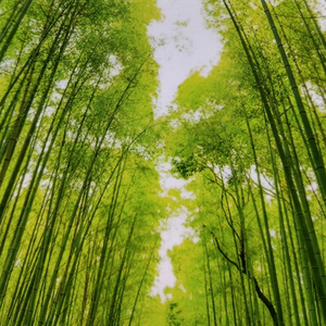 清心健身操头像
