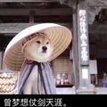 明亮投资认知成长会头像