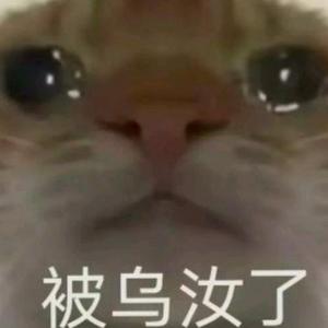 卑微的小龙 头像