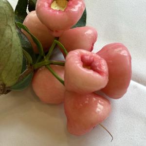 青春期陪伴指南头像