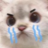 kkk亮晶晶头像