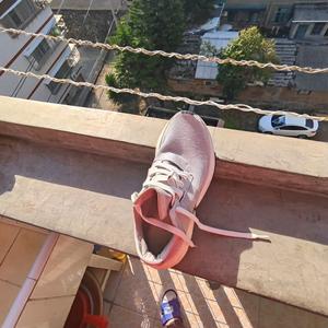 番茄1805850827563307头像