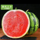 夏邑县恒业果蔬供应有限公司头像