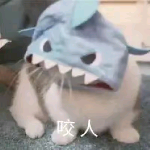 容酱（第五人格）头像