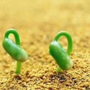 三农人不做农头像