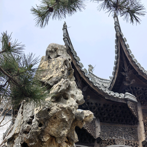 花荫渐成海头像