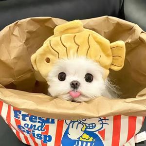 玻璃海苔鱼 头像