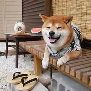 合肥房产康少头像