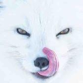 充周一头像