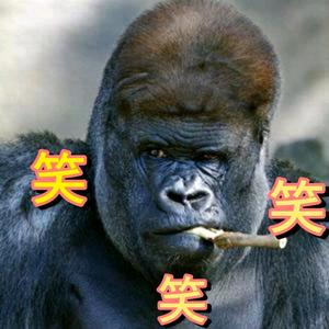 承诺3371172798944头像