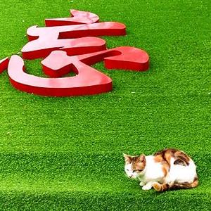 童子看世界头像