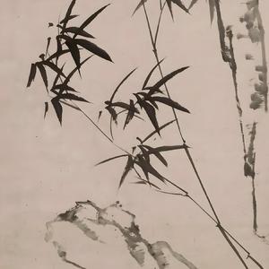 布语植头像