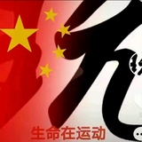 正大光明点到为止头像