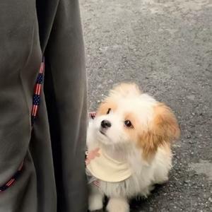 潮牌头像