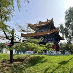wangduoduo88头像