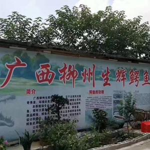 柳州市柳北区生辉养殖场头像