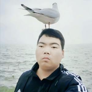 通知头像