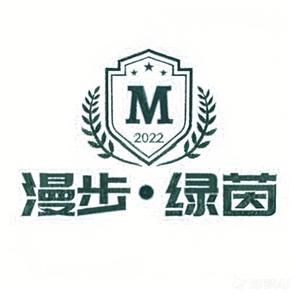 漫步绿茵头像