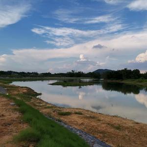 野钓鲫鱼之家头像