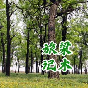 梁木旅记头像