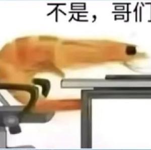 不是哥们头像