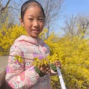 王梓菡头像