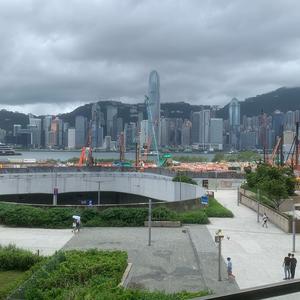 林明理头像