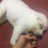 1快乐的源泉头像