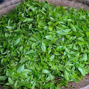 武夷高山岩茶头像