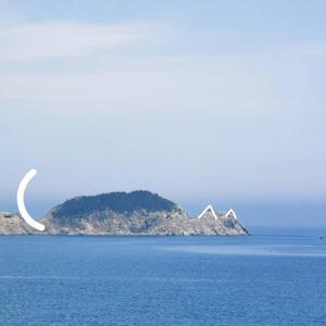 枫叶YL头像