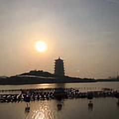 永恒星光头像