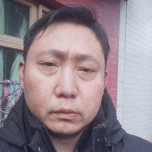 幻影飞星头像