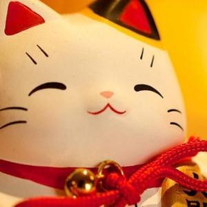 毛毛豆2020头像
