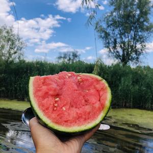 白白白的夏天头像