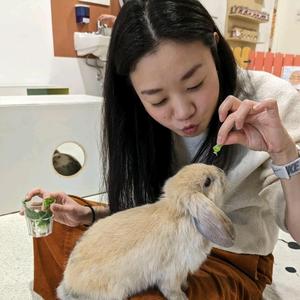 灵魂升天头像