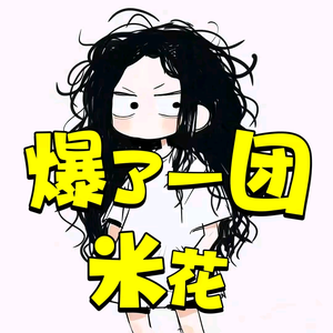 爆了一团米花头像