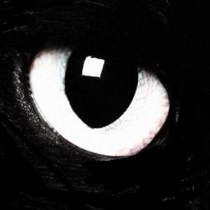 逆行斋主