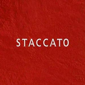 STACCATO美美头像