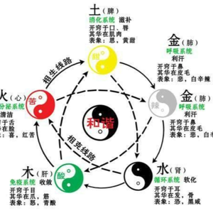 中医健康管理师zyy头像