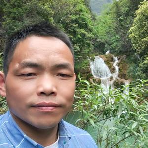 黎明家电杨英头像