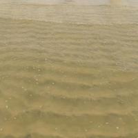 智勇双全淡蓝色头像