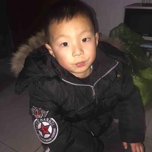 洛阳俊爸头像