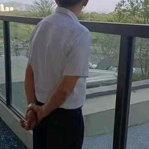 杨gz头像