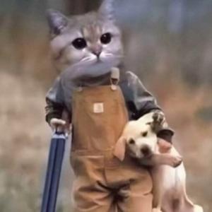 不爱吃饭的小陈同学 头像