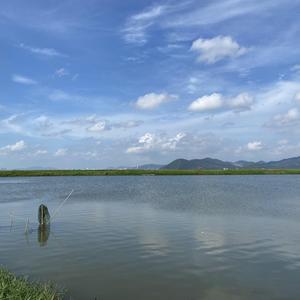 高佬海边记头像