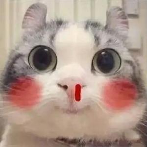 自在无关风月头像