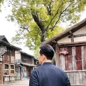 王金莲头像