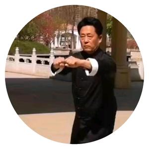 孙氏武学传人马凤山头像