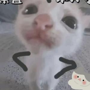 一只小猫咪a灬冰唯头像
