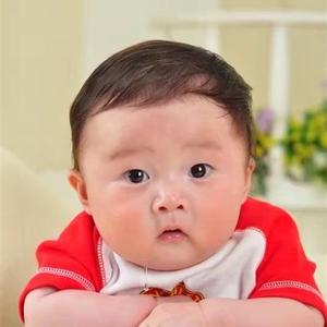 猪儿乖乖头像